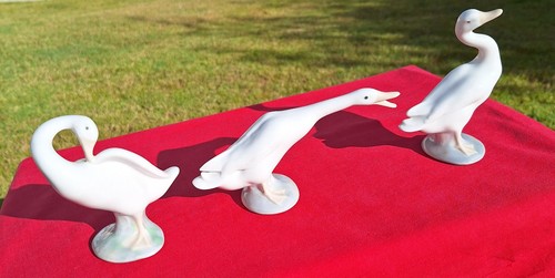 Ducks ornaments nao by - 3,