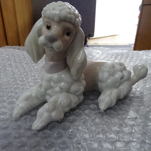 Lladró 6337 poodle - lladró, "poodle"